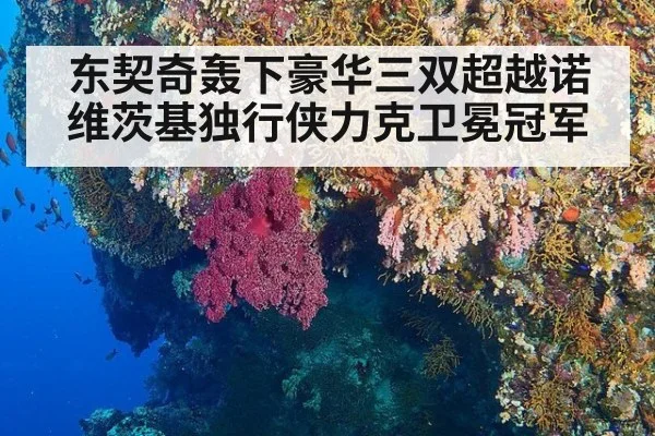 东契奇轰下豪华三双超越诺维茨基独行侠力克卫冕冠军